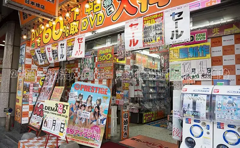 赏金国际平台